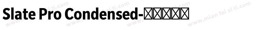 Slate Pro Condensed字体转换